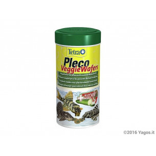 Pleco--Veggie-wafers
