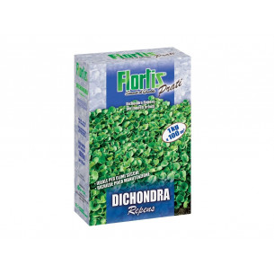 Sementi-prato-Dichondra-Repens-Flortis