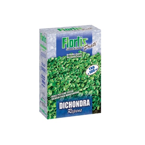 Sementi-prato-Dichondra-Repens-Flortis