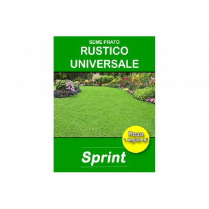 Sementi-prato-Sprint-Rustico-universale