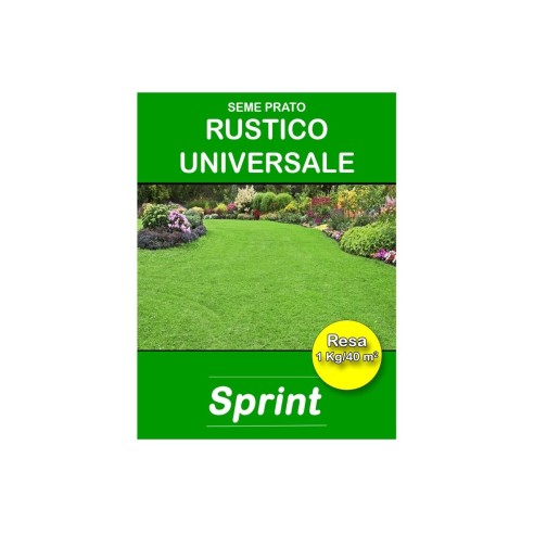Sementi-prato-Sprint-Rustico-universale