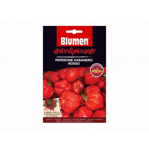 Semi-di-Habanero-Red