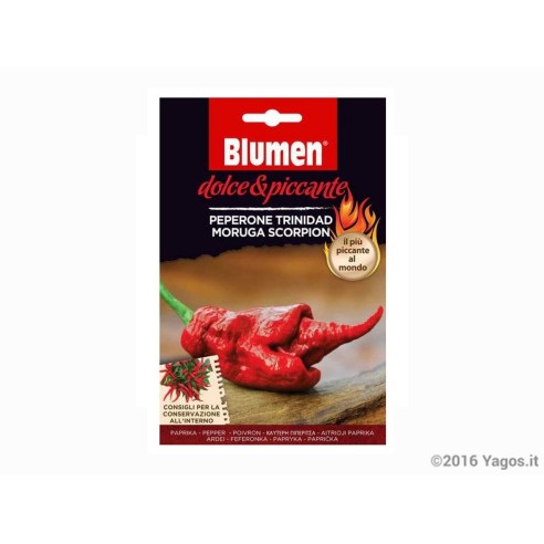 Semi-di-Trinidad-Moruga-Scorpion-red