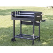 Barbecue a carbone Party Grill