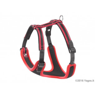 Pettorina-Ergoconfort-Ferplast-taglia-m 2