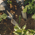 Prodotti per il tuo giardino in offerta