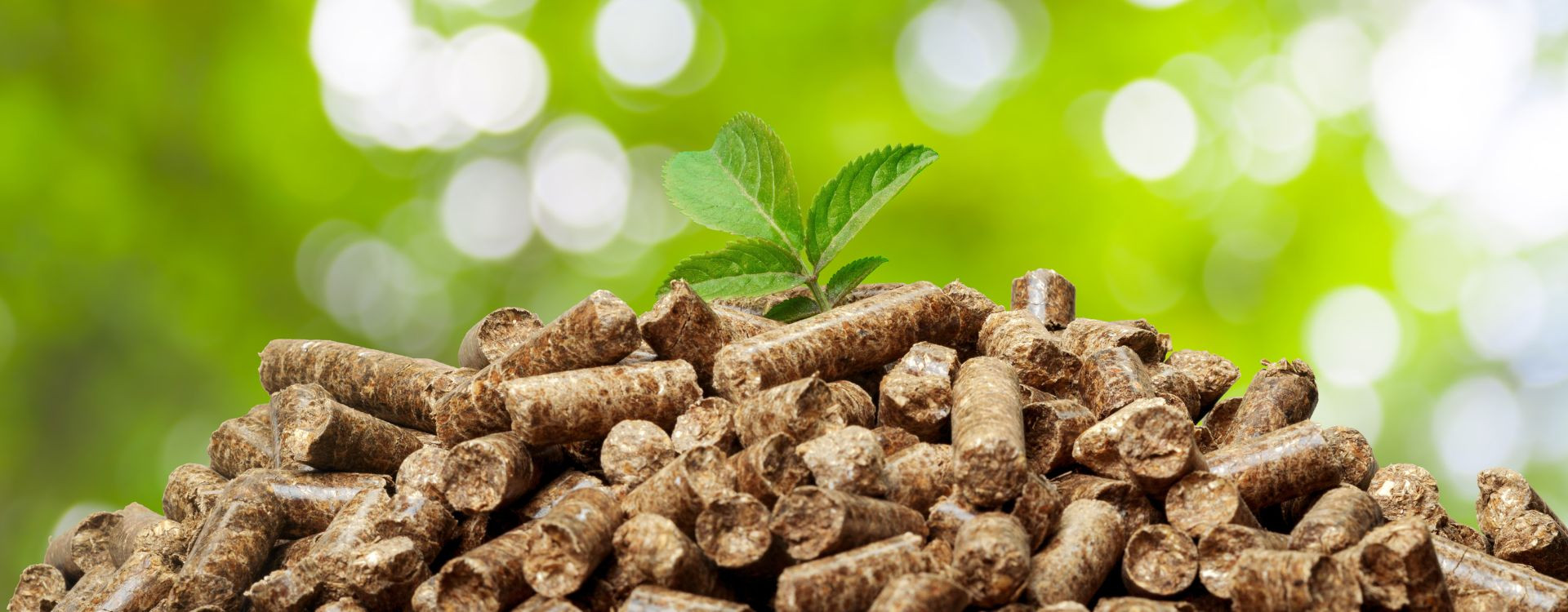 Soluzione pellet